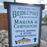 Review photo of Bridgeport Reservoir RV Park & Marina by Jon K., June 2, 2023