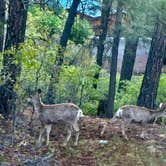 Review photo of Pagosa Pines RV Park by Mev W., June 2, 2023