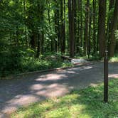 Review photo of Owens Creek Campground — Catoctin Mountain Park by Roger W., June 2, 2023