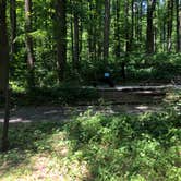 Review photo of Owens Creek Campground — Catoctin Mountain Park by Roger W., June 2, 2023