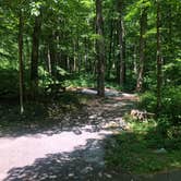 Review photo of Owens Creek Campground — Catoctin Mountain Park by Roger W., June 2, 2023