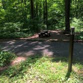 Review photo of Owens Creek Campground — Catoctin Mountain Park by Roger W., June 2, 2023