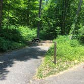 Review photo of Owens Creek Campground — Catoctin Mountain Park by Roger W., June 2, 2023