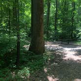 Review photo of Owens Creek Campground — Catoctin Mountain Park by Roger W., June 2, 2023