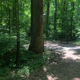 Review photo of Owens Creek Campground — Catoctin Mountain Park by Roger W., June 2, 2023