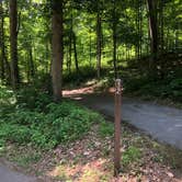 Review photo of Owens Creek Campground — Catoctin Mountain Park by Roger W., June 2, 2023