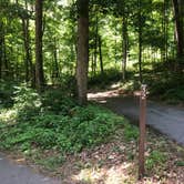 Review photo of Owens Creek Campground — Catoctin Mountain Park by Roger W., June 2, 2023