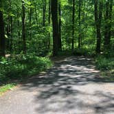 Review photo of Owens Creek Campground — Catoctin Mountain Park by Roger W., June 2, 2023