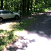 Review photo of Owens Creek Campground — Catoctin Mountain Park by Roger W., June 2, 2023