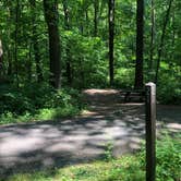 Review photo of Owens Creek Campground — Catoctin Mountain Park by Roger W., June 2, 2023