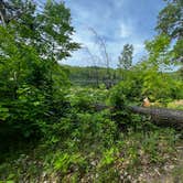 Review photo of Huron National Forest Reid Lake Semi-Primitive Nonmotorized Area by Jacob S., June 2, 2023