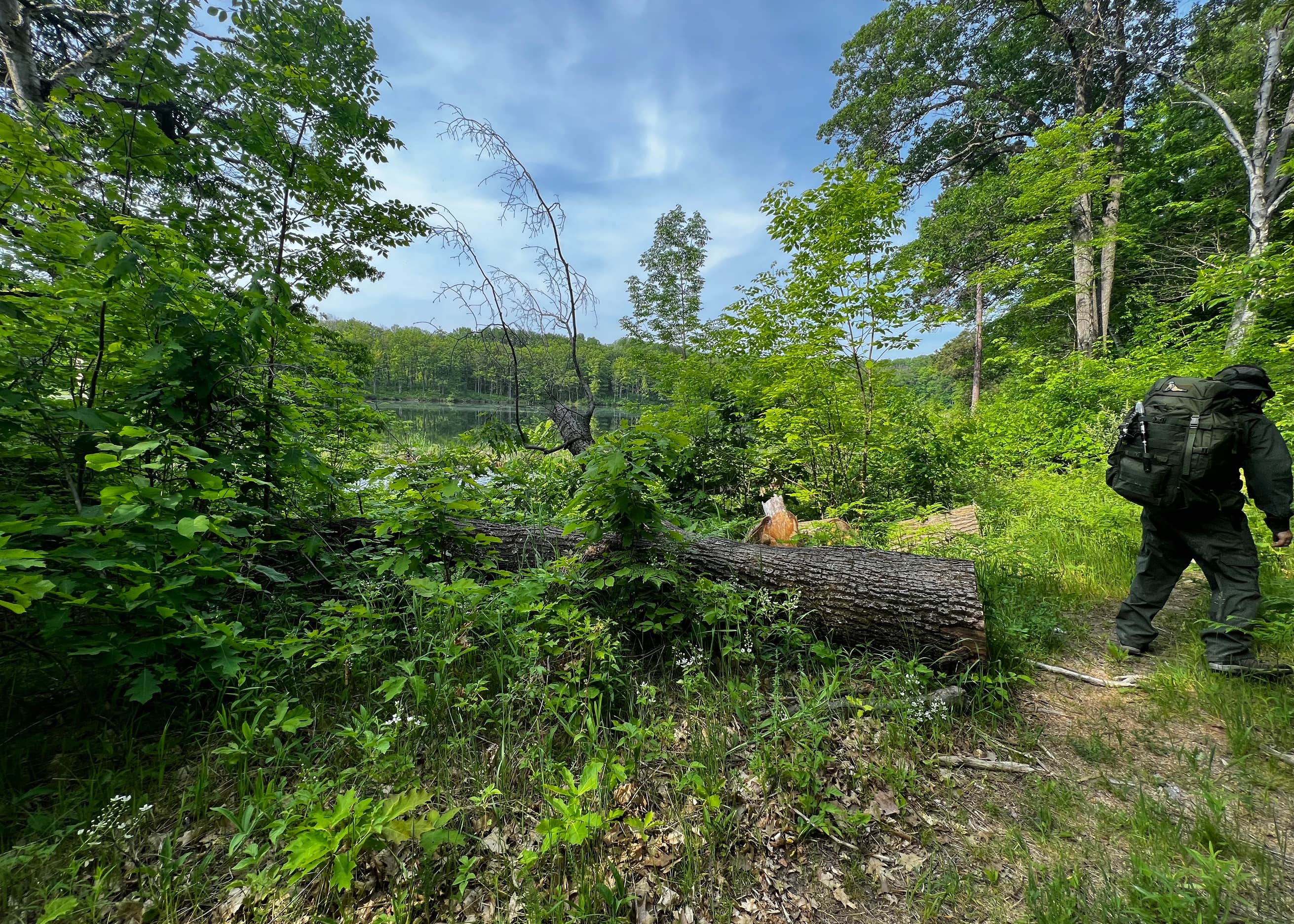 Huron National Forest Reid Lake SemiPrimitive Nonmotorized Area