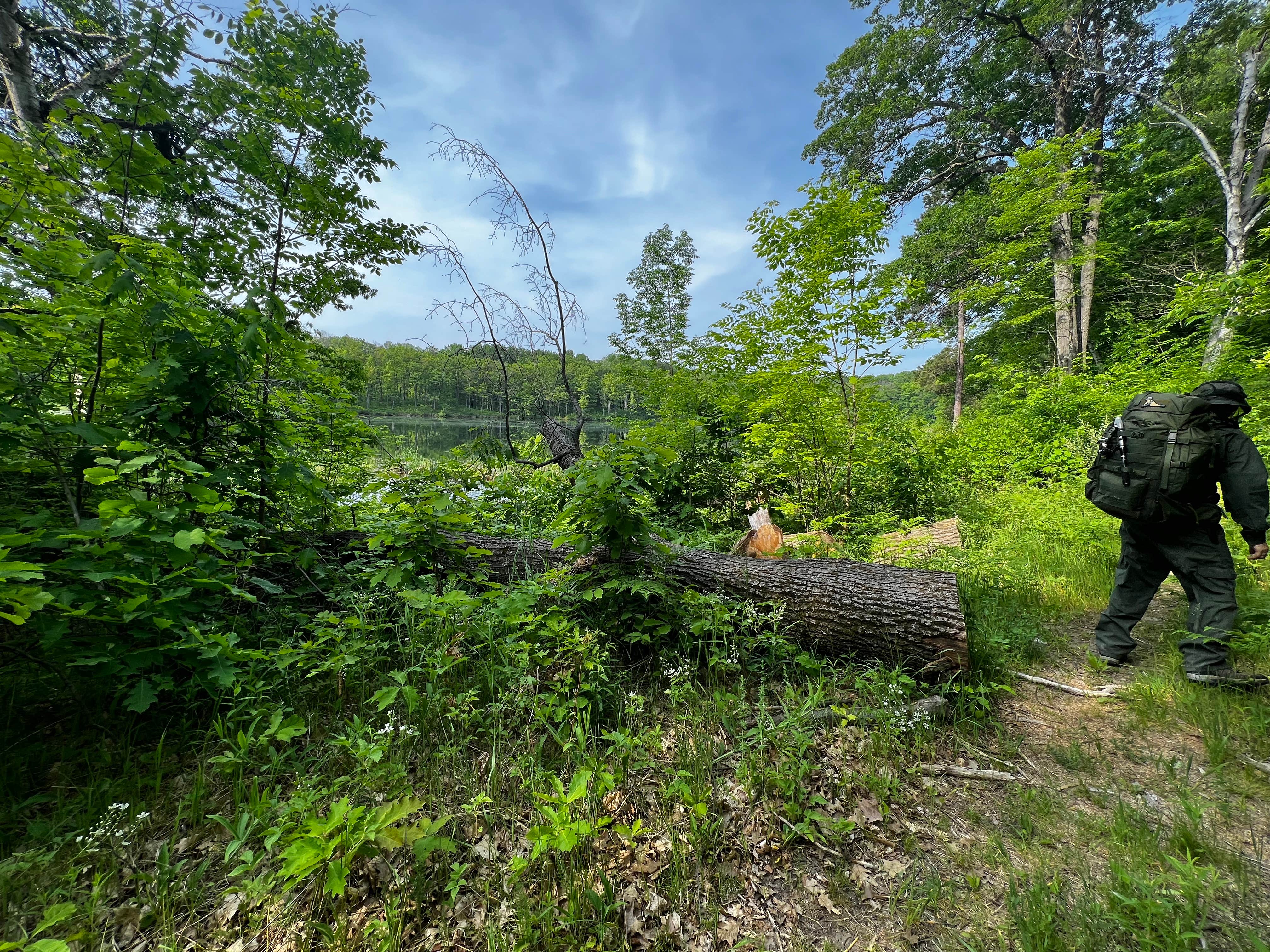 Camper submitted image from Huron National Forest Reid Lake Semi-Primitive Nonmotorized Area - 1