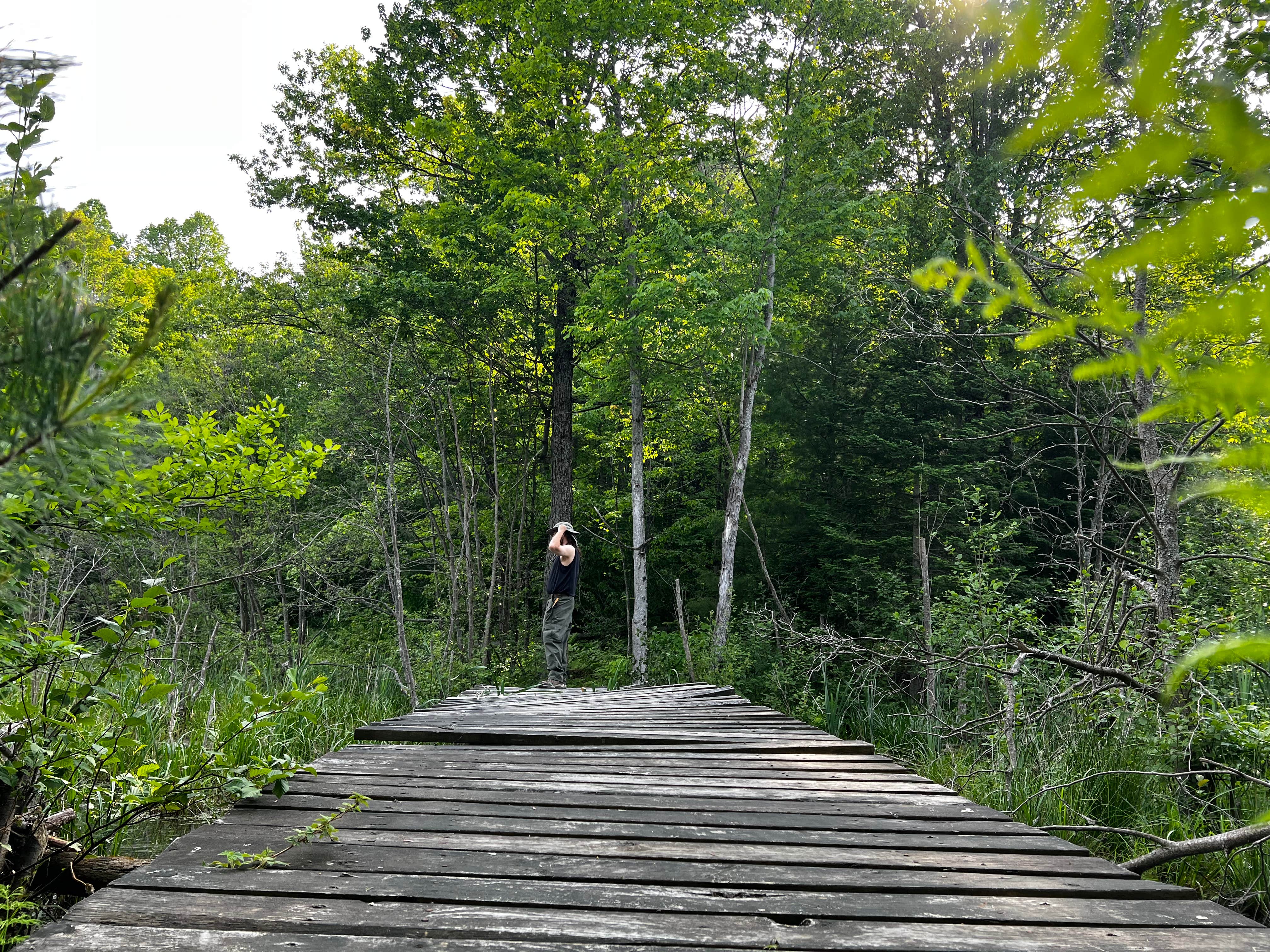 Camper submitted image from Huron National Forest Reid Lake Semi-Primitive Nonmotorized Area - 2