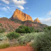 Review photo of Watchman Campground — Zion National Park by Mk A., June 2, 2023