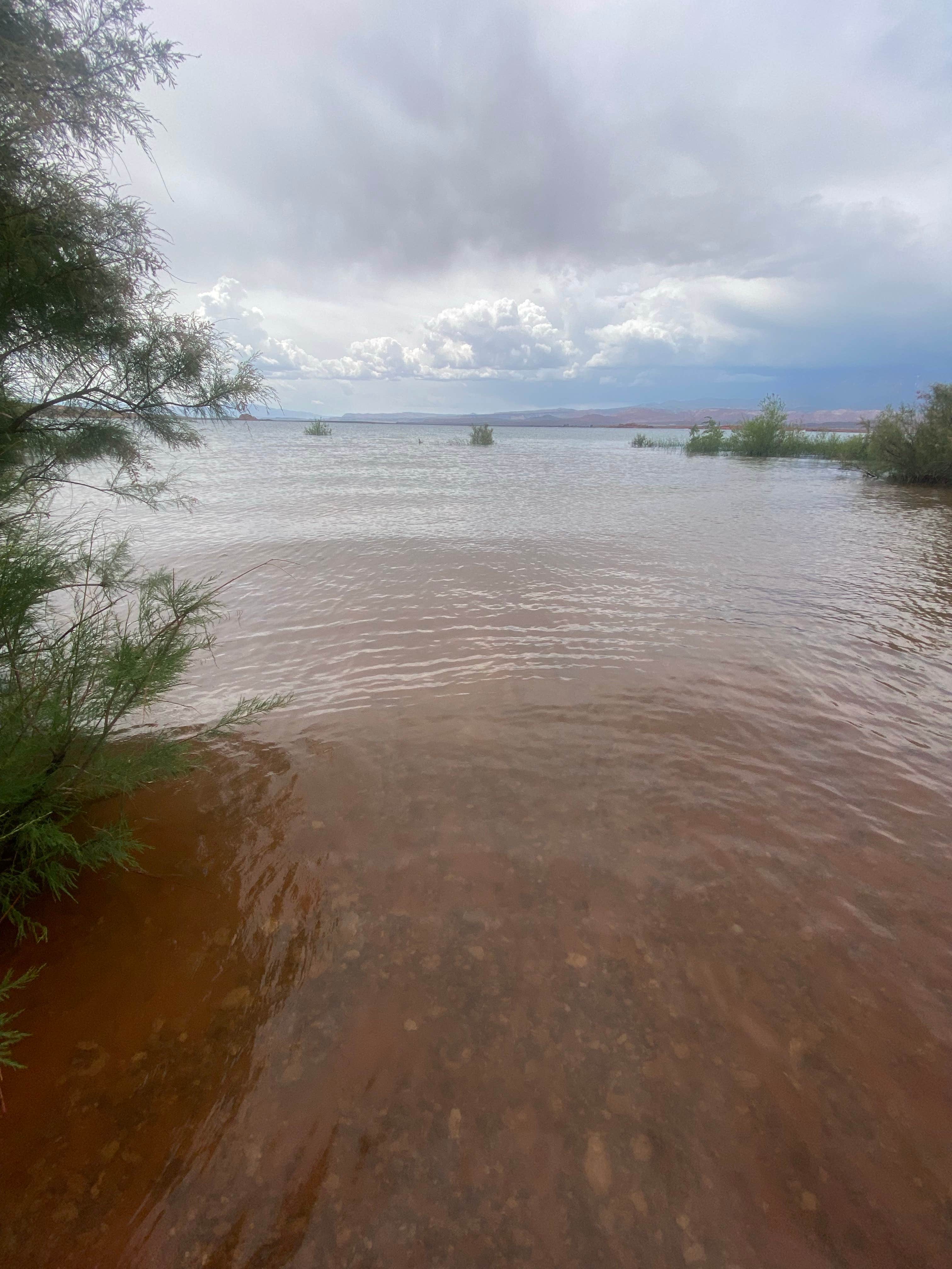 Camper submitted image from Lakeview Campground — Sand Hollow State Park - 3