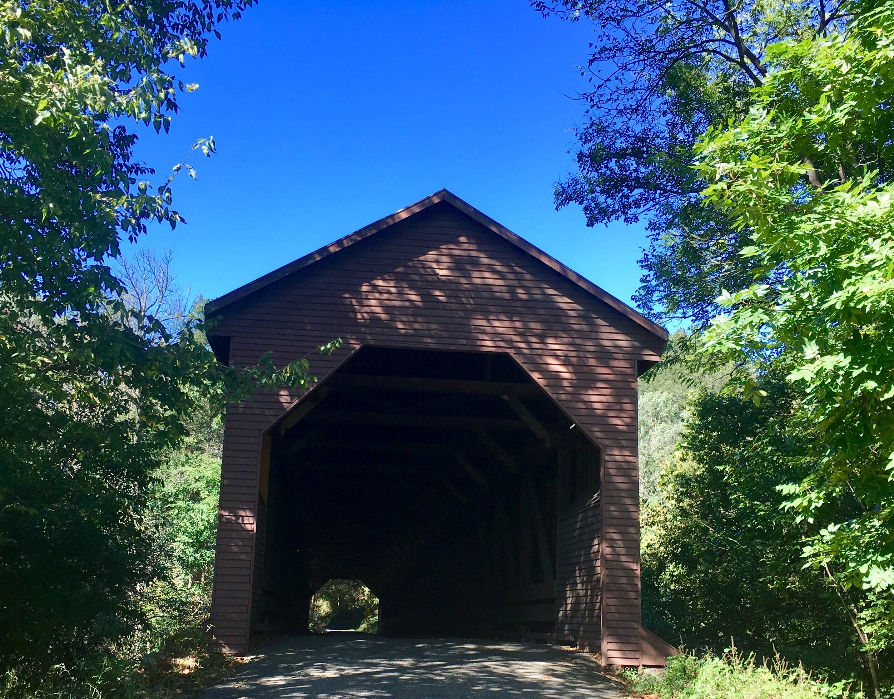 Camper-submitted photo at Spacious Skies Shenandoah Views near Flint Hill, VA