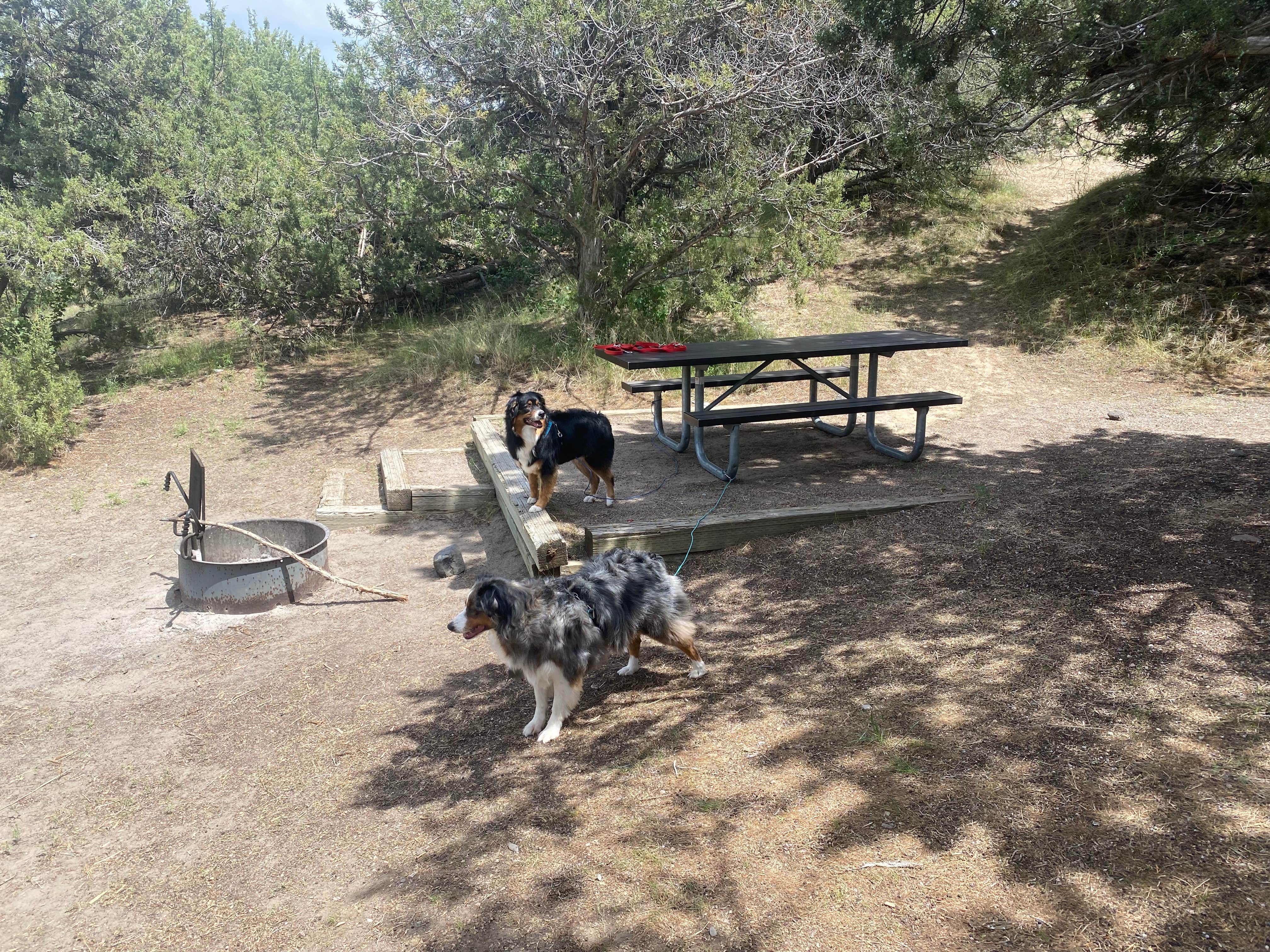 Adam A.'s photo of camping with pets at Massacre Rocks State Park Campground near Pocatello, ID