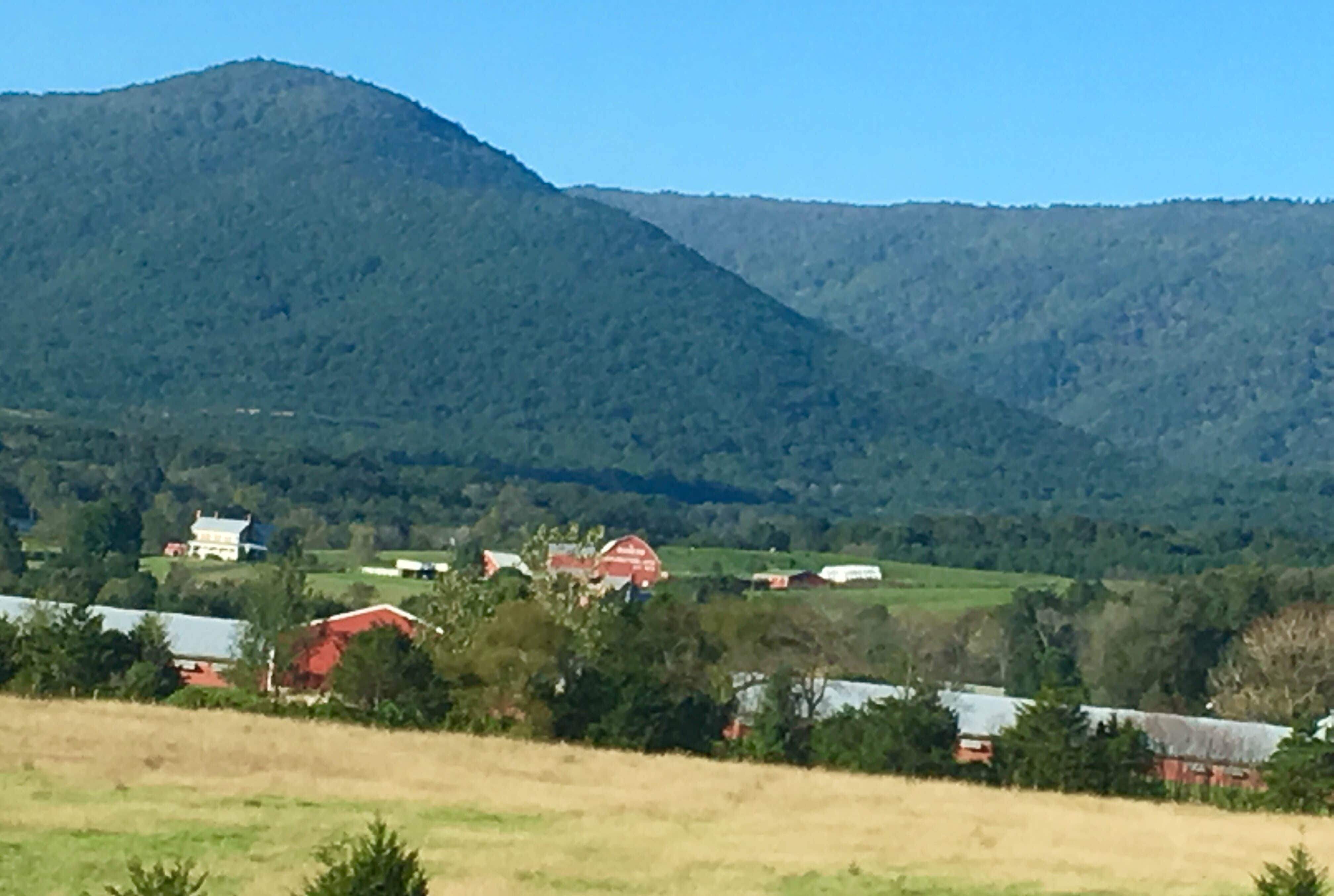 Camper submitted image from Spacious Skies Shenandoah Views - 2