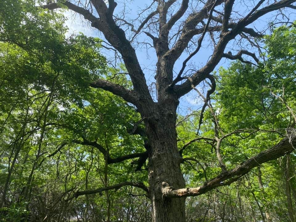 Camper submitted image from Elkhorn Creek Rec Area - 2