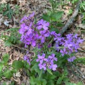 Review photo of Elkhorn Creek Rec Area by Tammie C., June 3, 2023