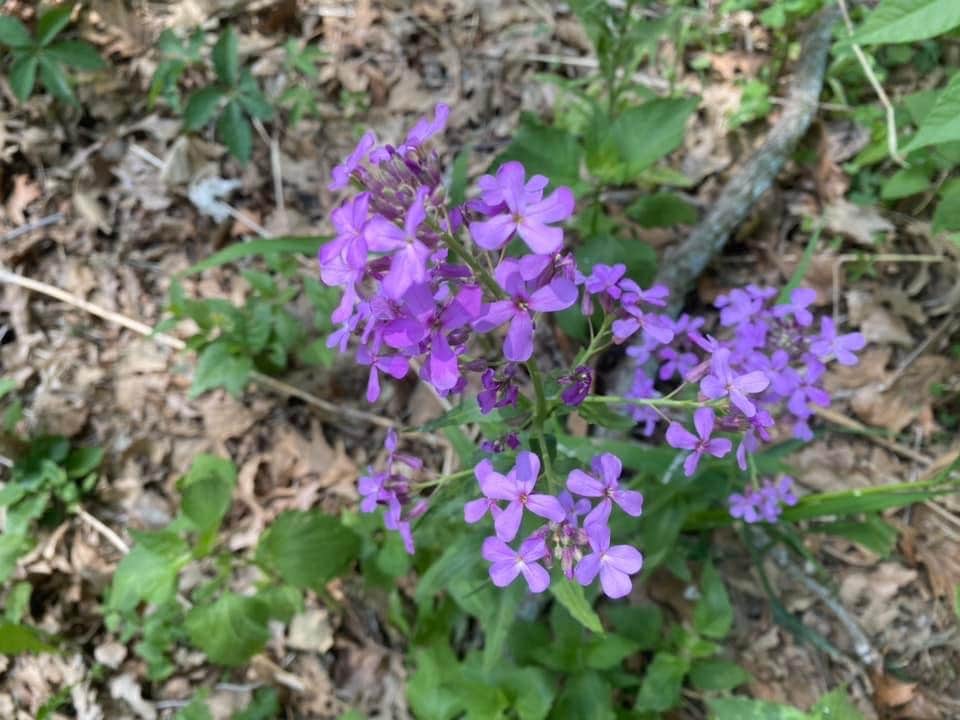 Camper submitted image from Elkhorn Creek Rec Area - 1