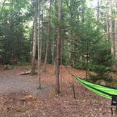 Review photo of Seawall Campground — Acadia National Park by Maggie K., August 19, 2016