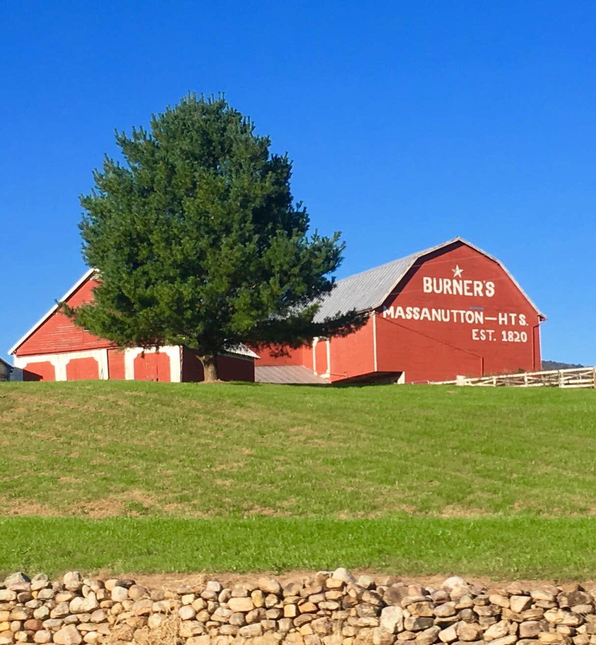 Camper-submitted photo at Spacious Skies Shenandoah Views near Flint Hill, VA