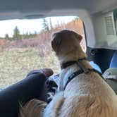 Review photo of Horseshoe Campground by Erica H., June 3, 2023