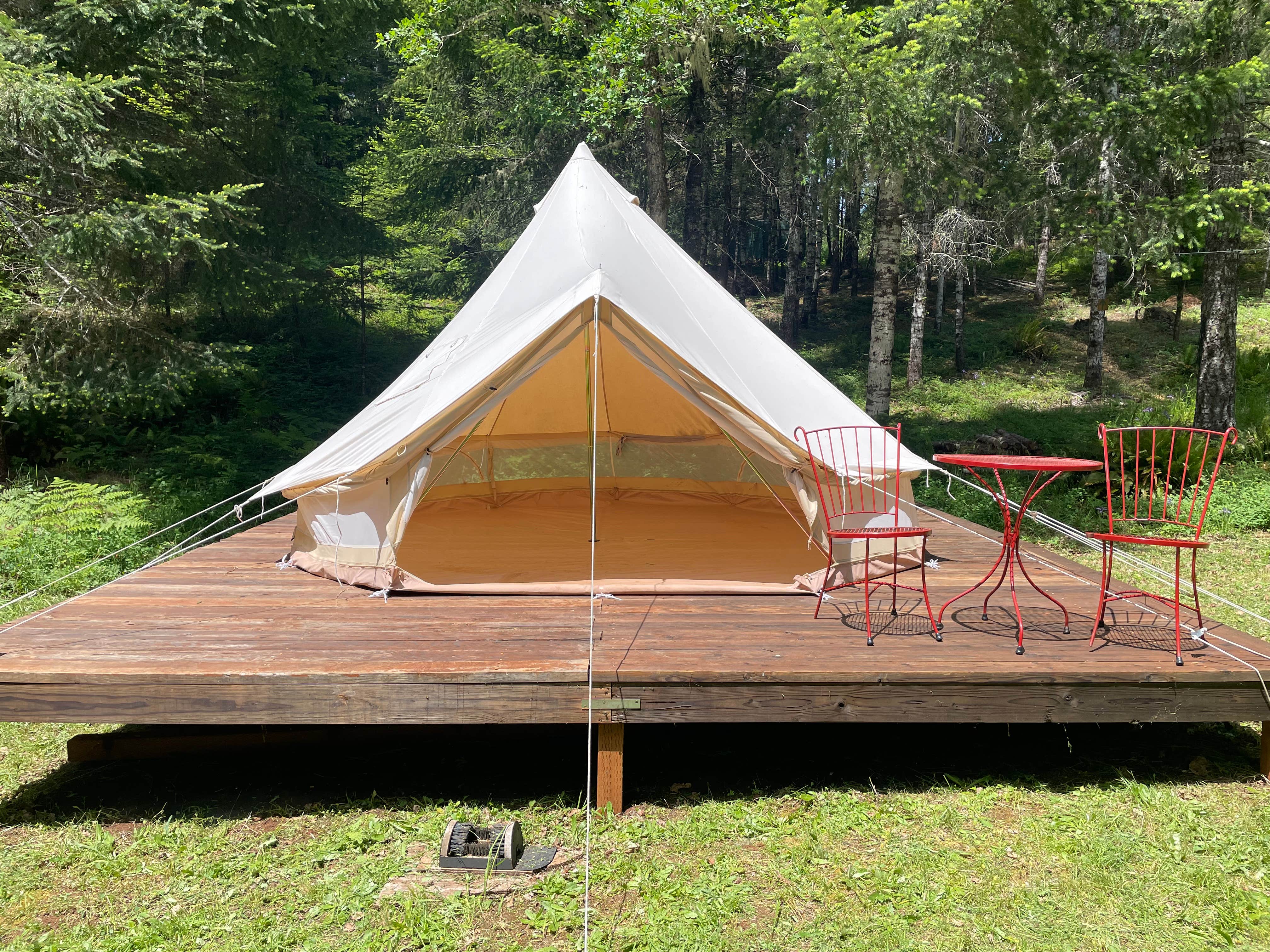 Camper-submitted photo at Royal Heart Hill near Cottage Grove, OR