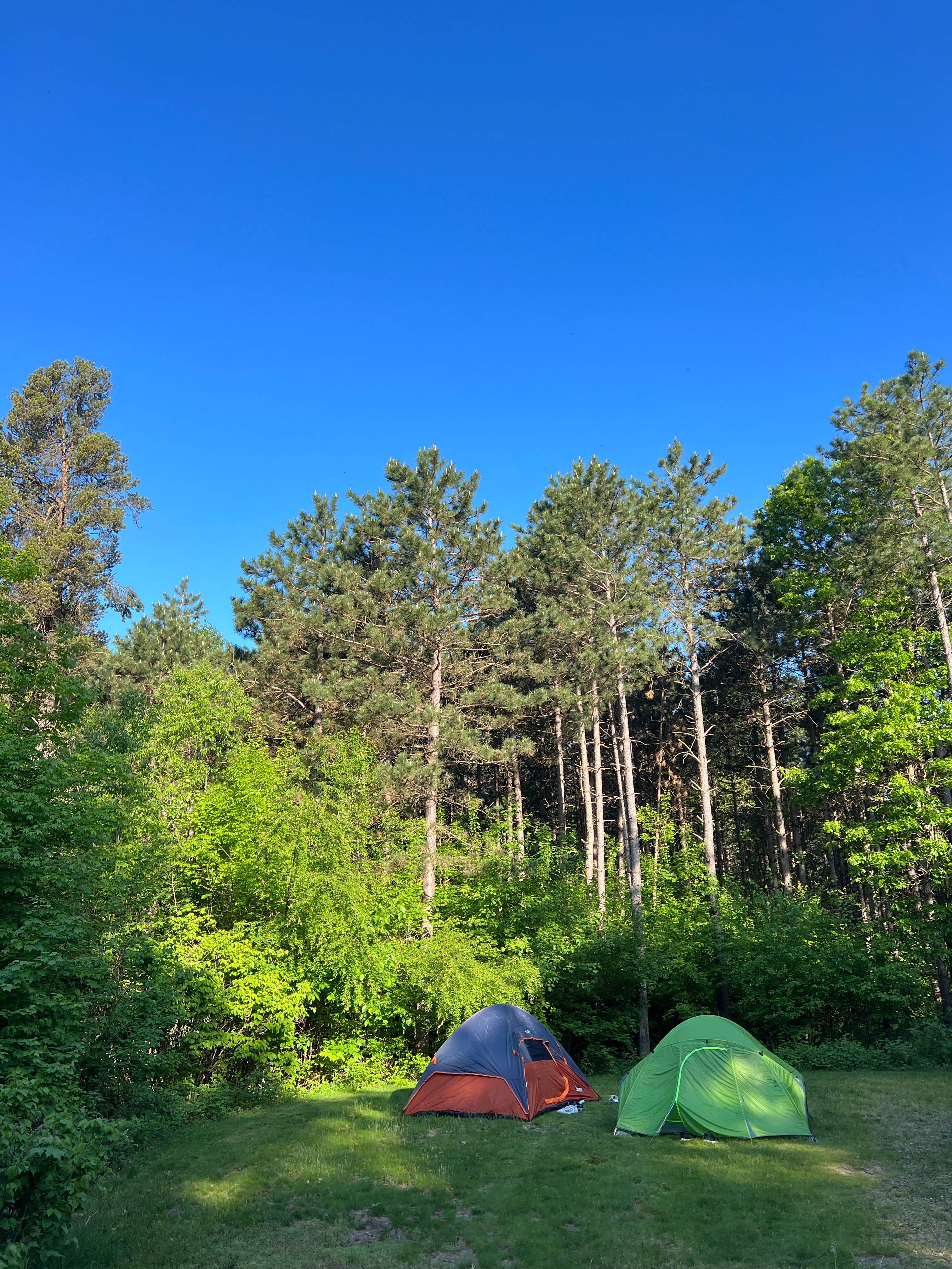 Janet B.'s photo at Buckhorn State Park Campground near Camp Douglas, WI