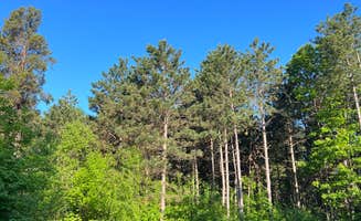 Janet B.'s photo at Buckhorn State Park Campground near Adams, WI