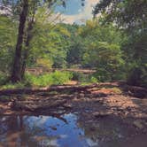 Review photo of Sweetwater Creek State Park Campground by Asia + Jalen B., October 14, 2018