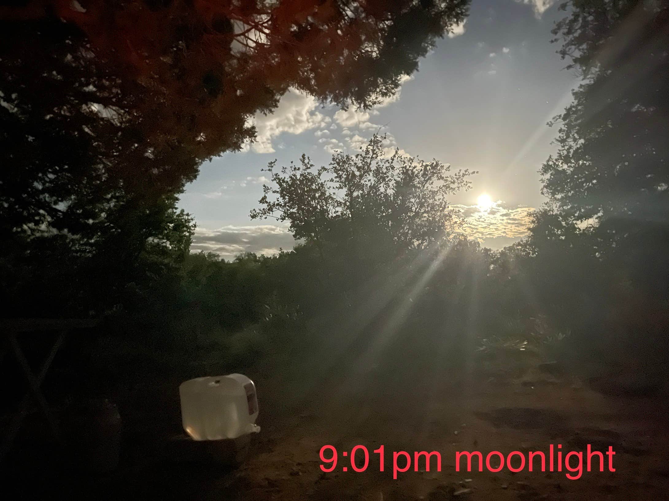 Camper-submitted photo at Prescott Basin - Ponderosa Park Road Dispersed Camping near Prescott Valley, AZ