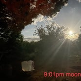 Review photo of Prescott Basin - Ponderosa Park Road Dispersed Camping by Colton C., June 4, 2023