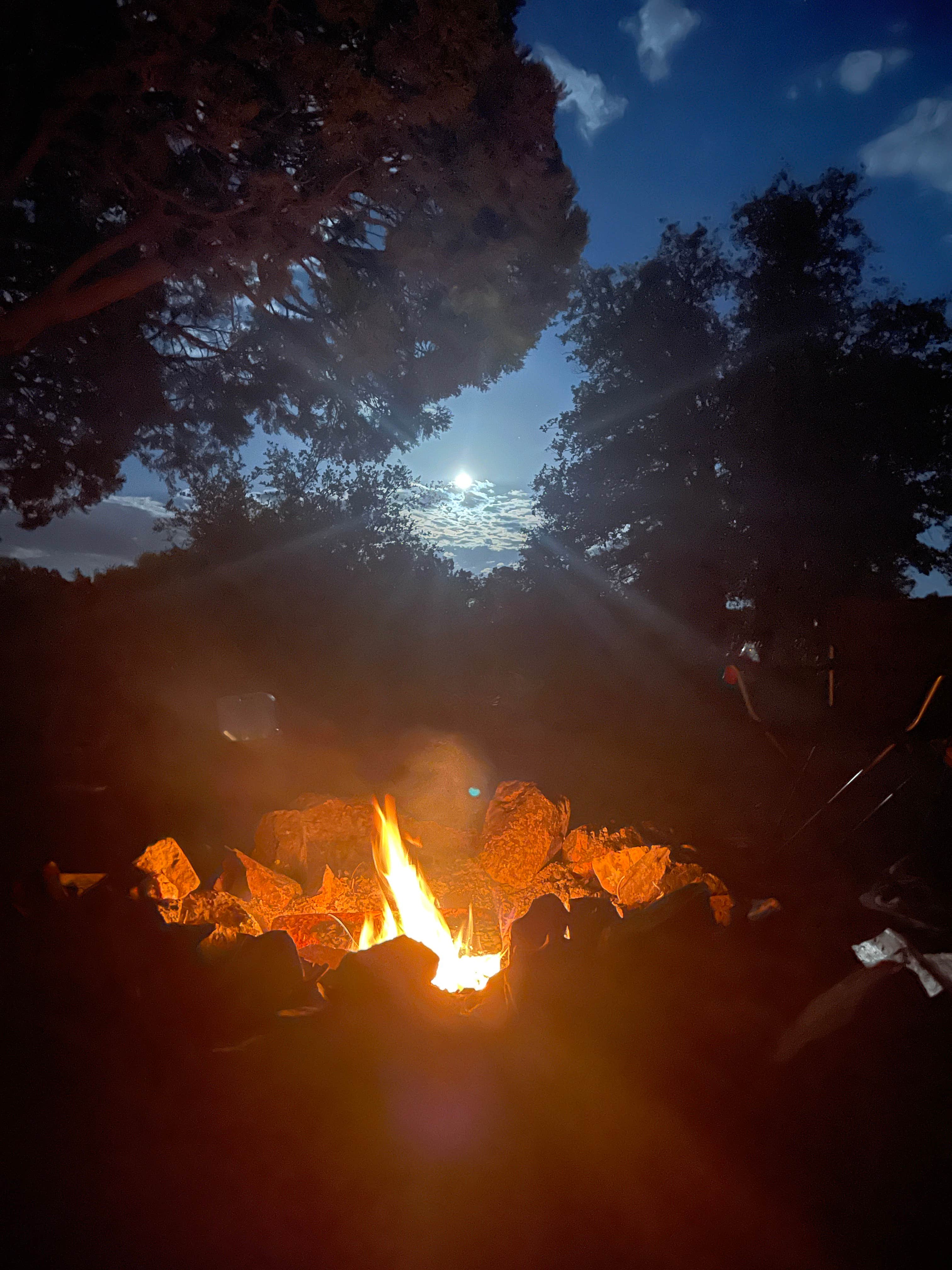 Camping near Wolf Creek Road Camp: Prescott Basin - Ponderosa Park Road Dispersed Camping, Prescott National Forest, Arizona