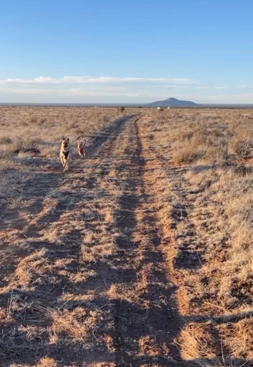 Camper-submitted photo at El Camp-o near Seligman, AZ