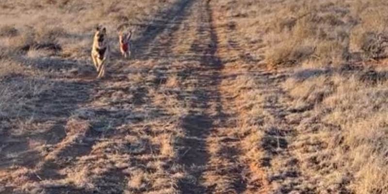 Camper submitted image from El Camp-o