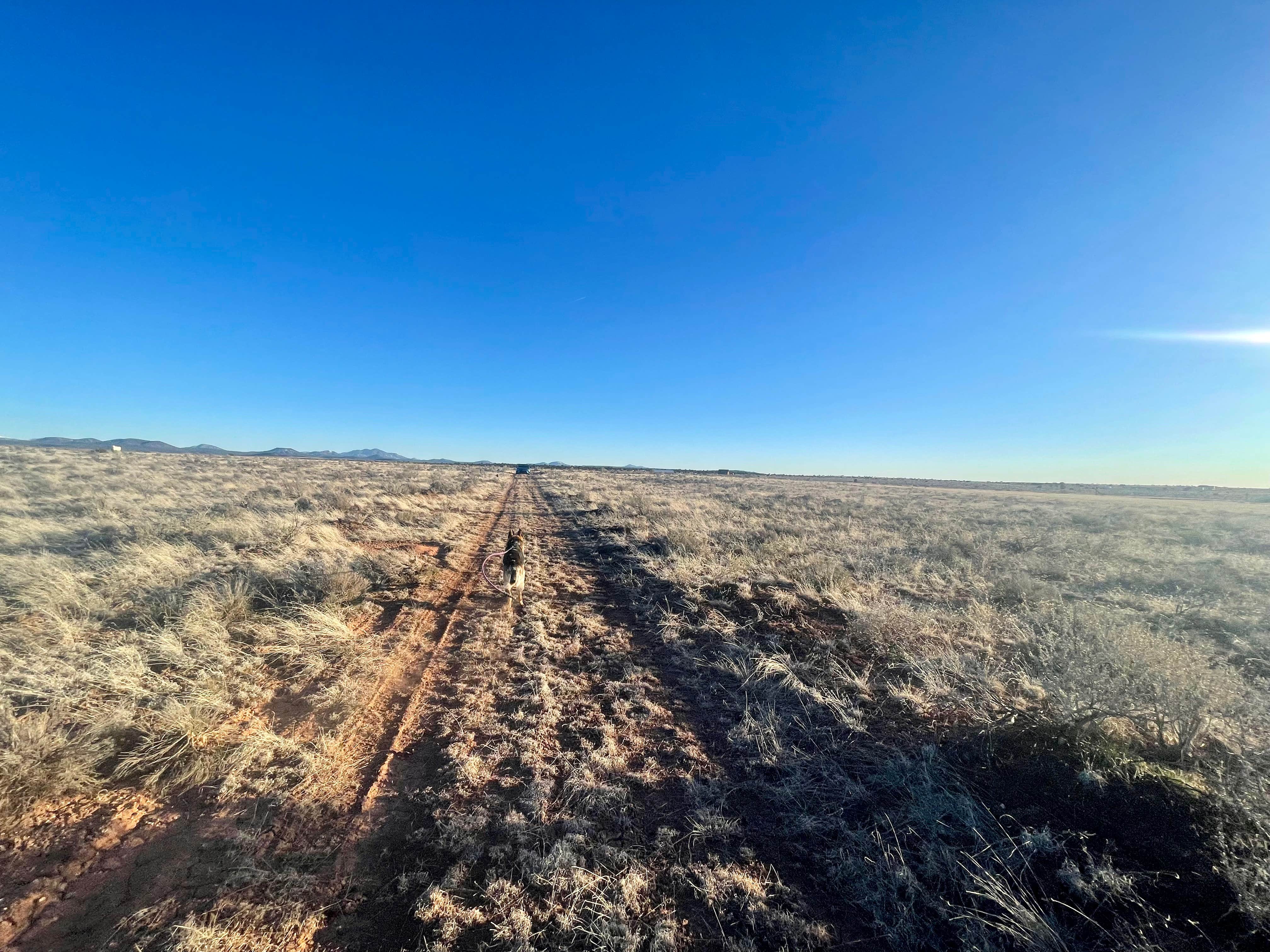 Camper-submitted photo at El Camp-o near Seligman, AZ