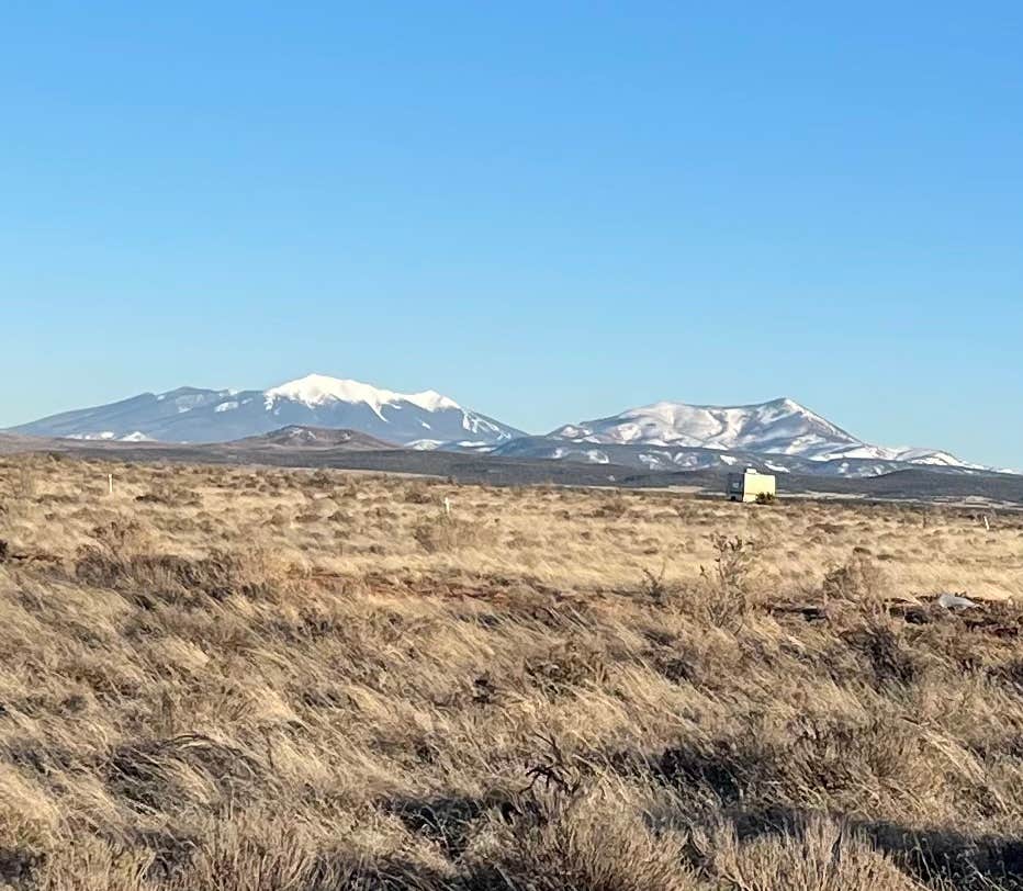 Camper-submitted photo at El Camp-o near Seligman, AZ