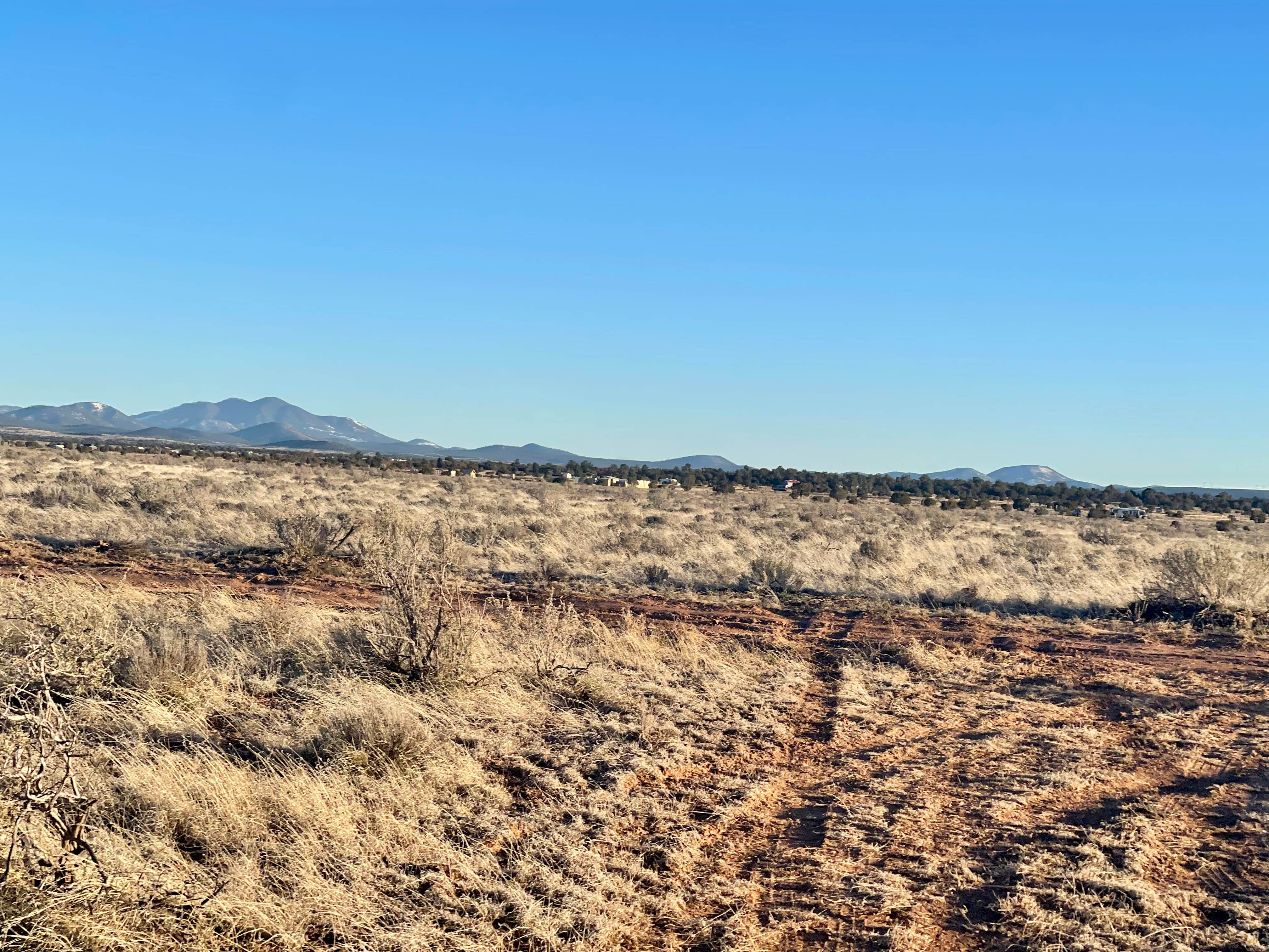 Camper-submitted photo at El Camp-o near Seligman, AZ