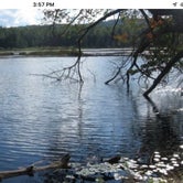 Review photo of Savoy Mountain State Forest by Bill K., October 14, 2018