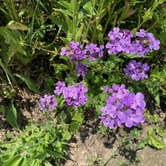 Review photo of Mormon Trail County Park by Tammie C., June 4, 2023