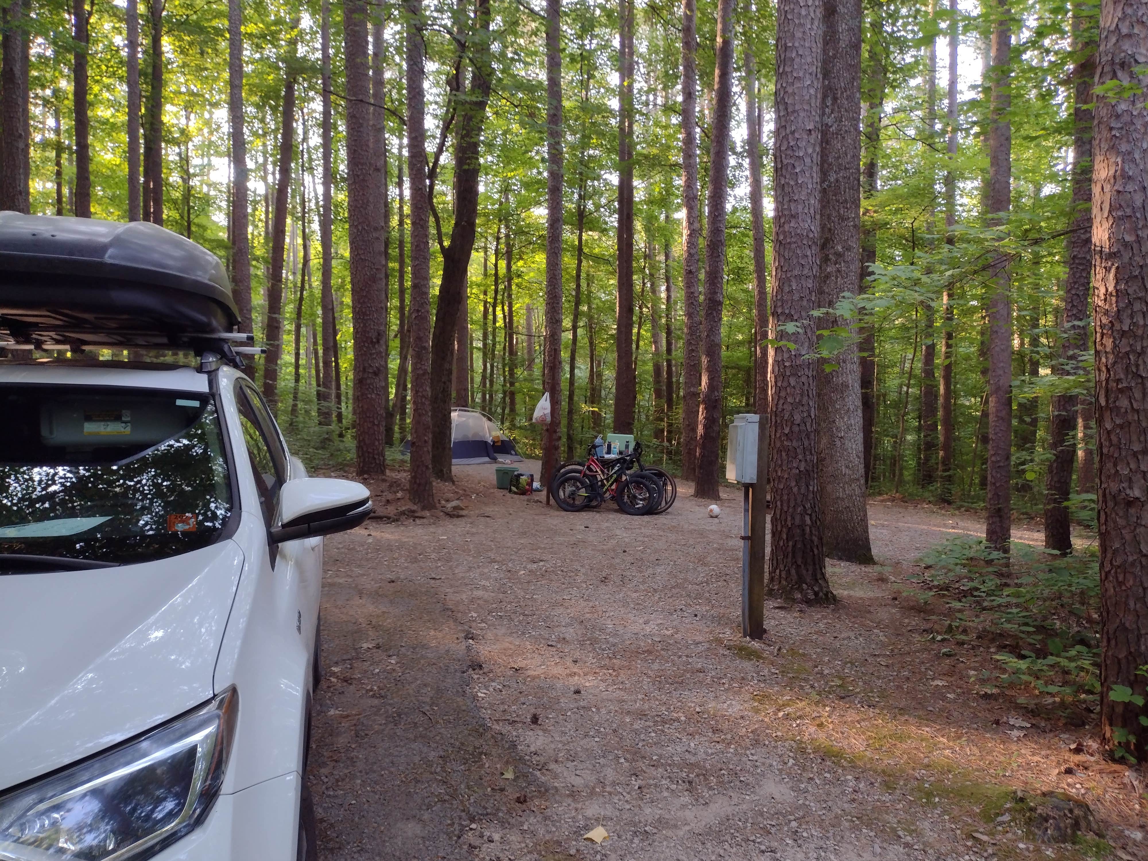 Camper submitted image from Indian-Celina Recreation Area - 5
