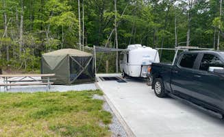 Darlene R.'s photo at Gorges State Park Campground near Lake Toxaway, NC