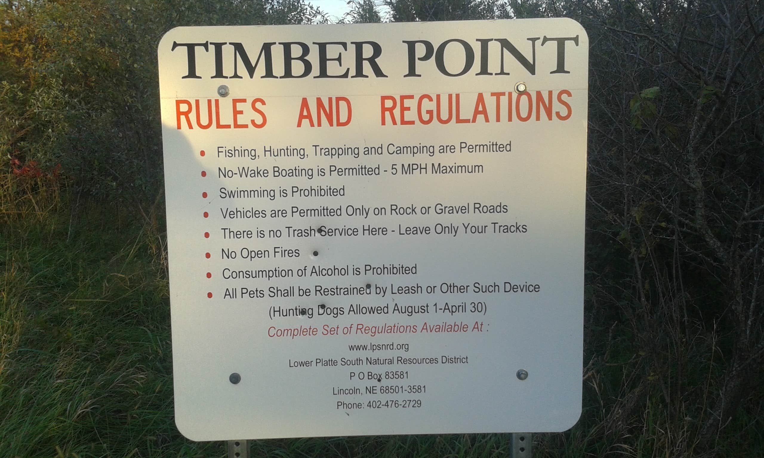 Camper submitted image from Timber Point Wetland - 4