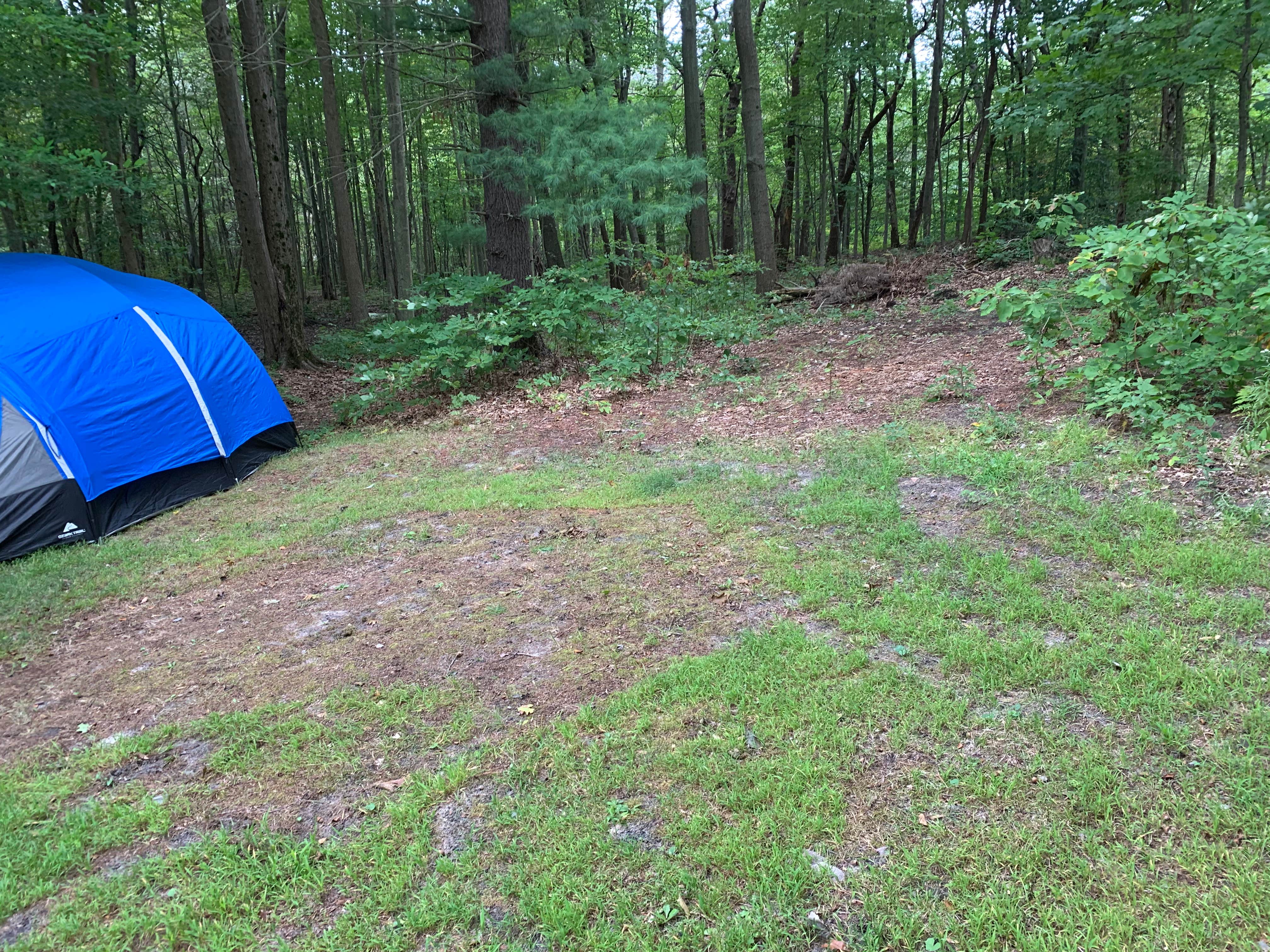 Camper-submitted photo at Dune Lake Campground near Covert, MI
