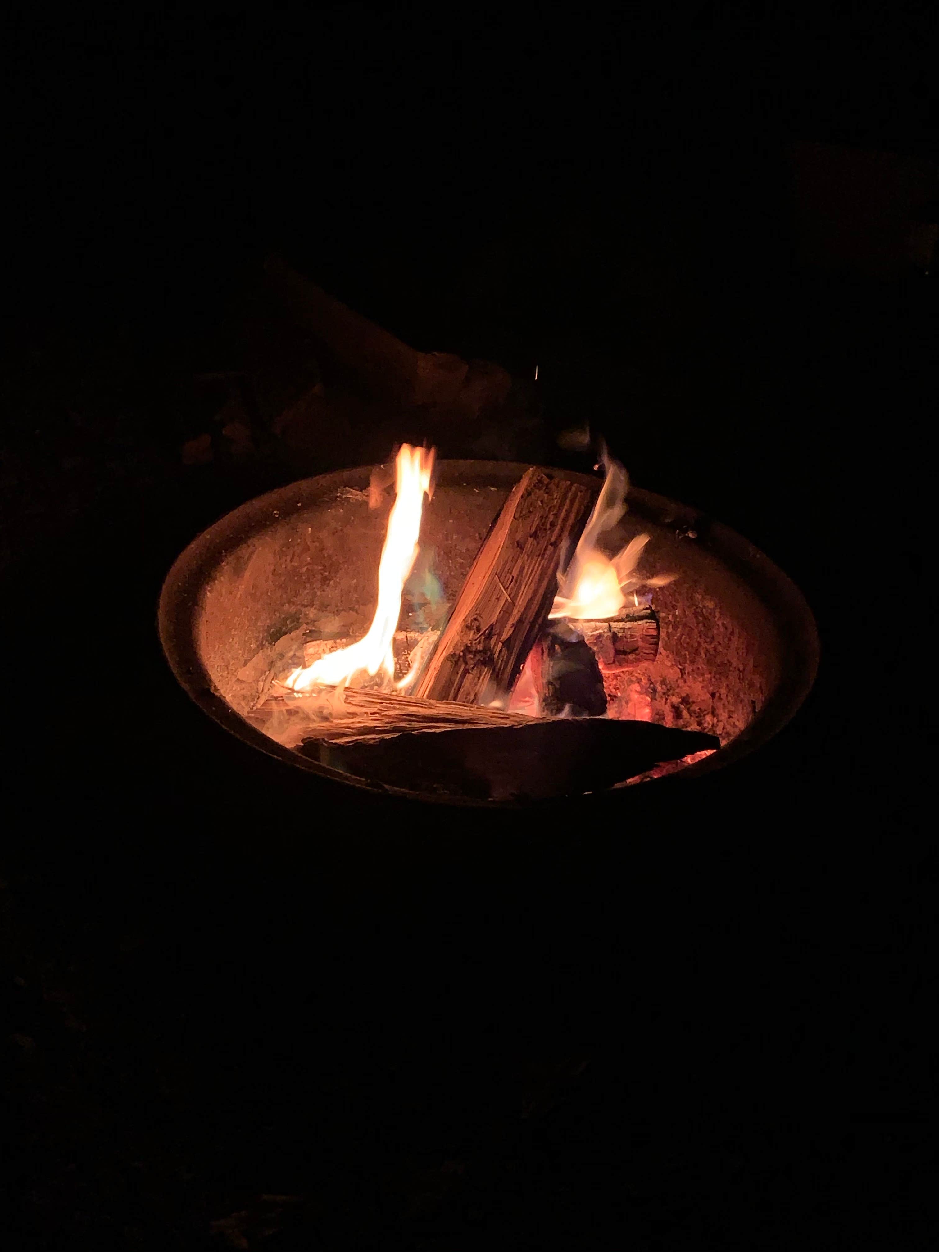 Camping near Wooded Trails: Dune Lake Campground, Covert, Michigan