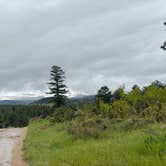 Review photo of Forest Road 332 Dispersed by Lexi H., June 4, 2023