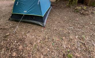 Camping near Beaver Bay Campground: Merrill Lake Campground, Cougar, Washington